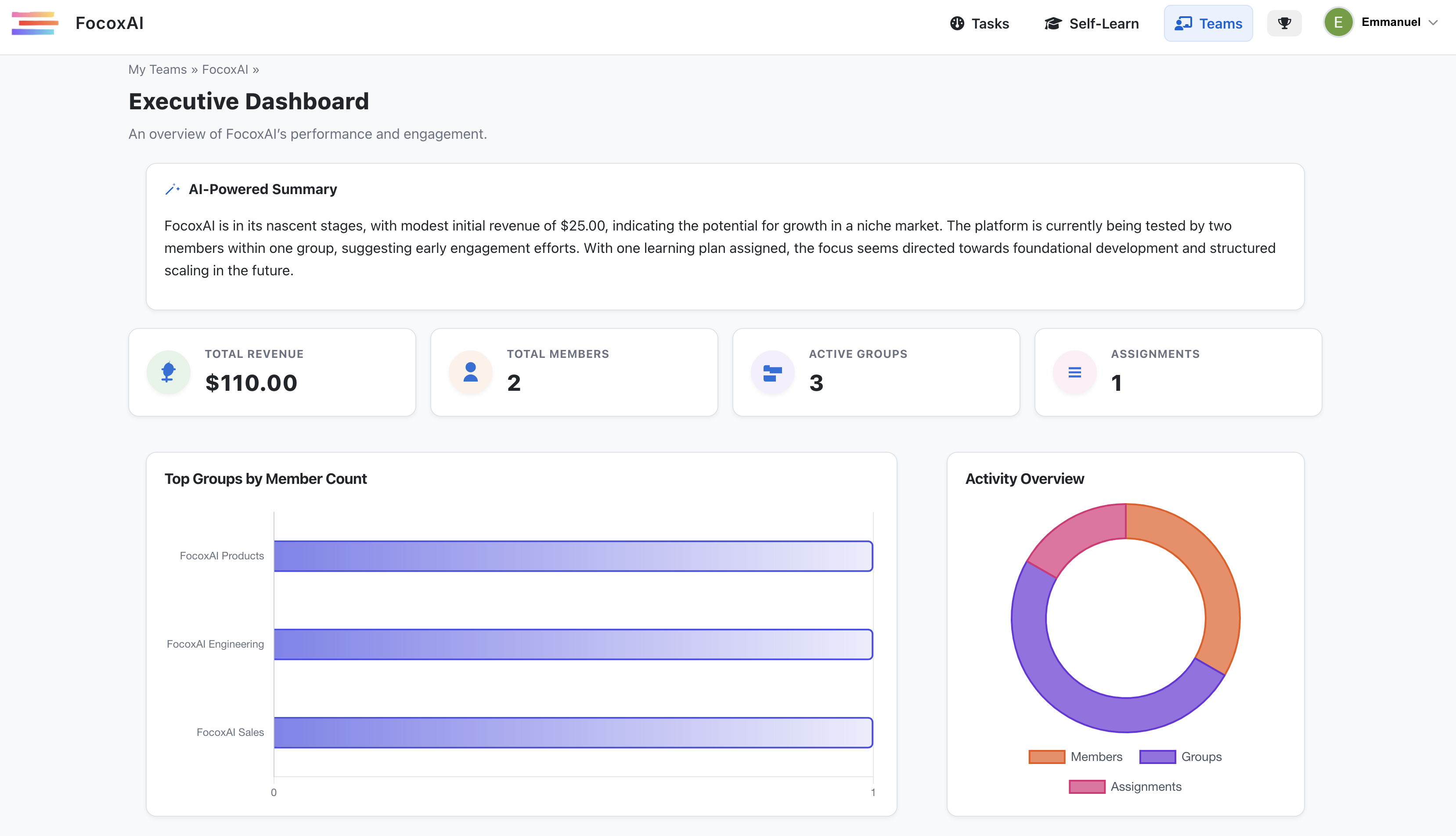 Team management interface